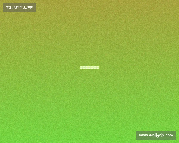 武林风赛事;武林风赛事合作